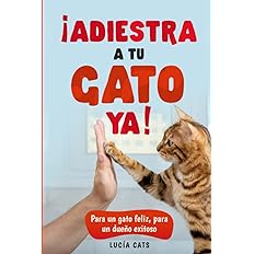 ADIESTRA A TU GATO YA